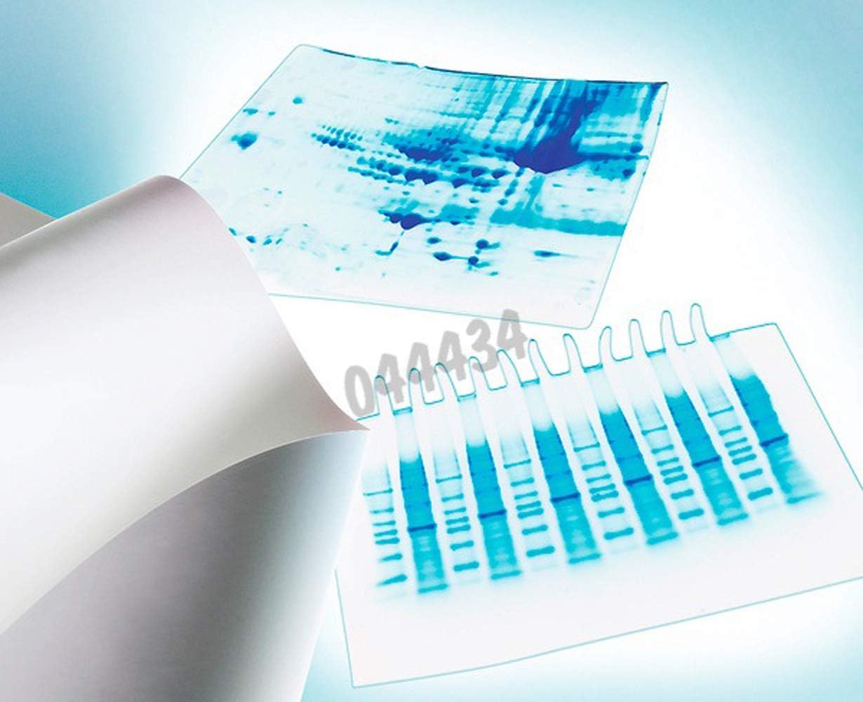 Merck Millipore IEVH10100 Immobilon -E Transfer Membrane, 0.45μm, 100 x 100 mm Sheets, Pack of 10