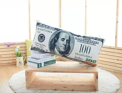 Skyseen 3d Usa Money 100 Dollar Bill Pillow Stuffed Plush Toy Bed