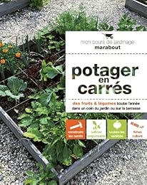Potager en carrés