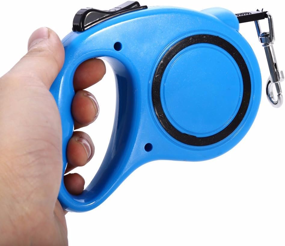 small dog extending leads