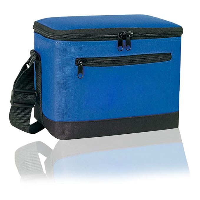 lunch bag cooler 10 hours