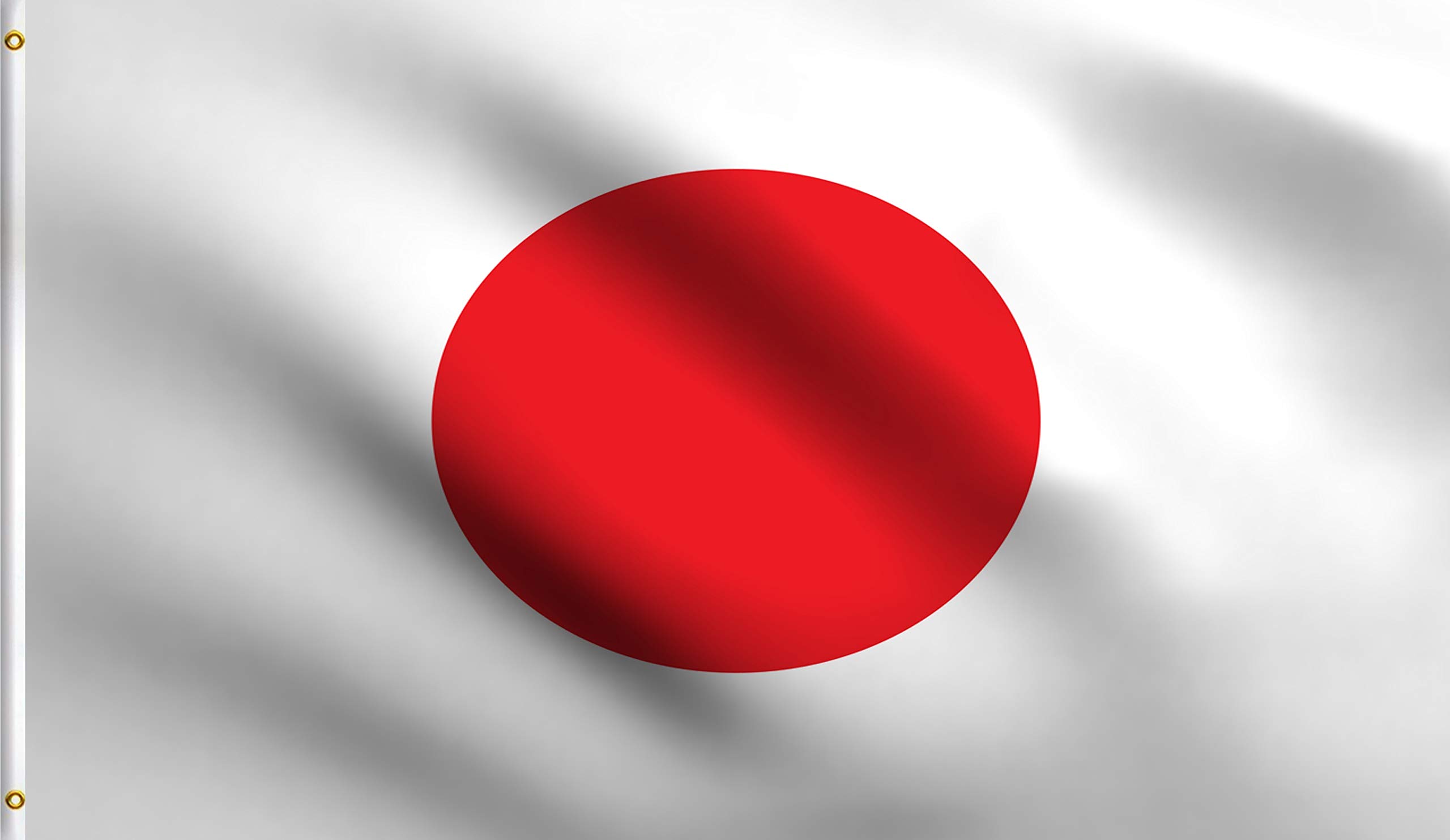 DMSE Japan Japanese National Flag 3X5 Ft Foot 100% Polyester 100D Flag UV Resistant (3' X 5' Ft Foot)