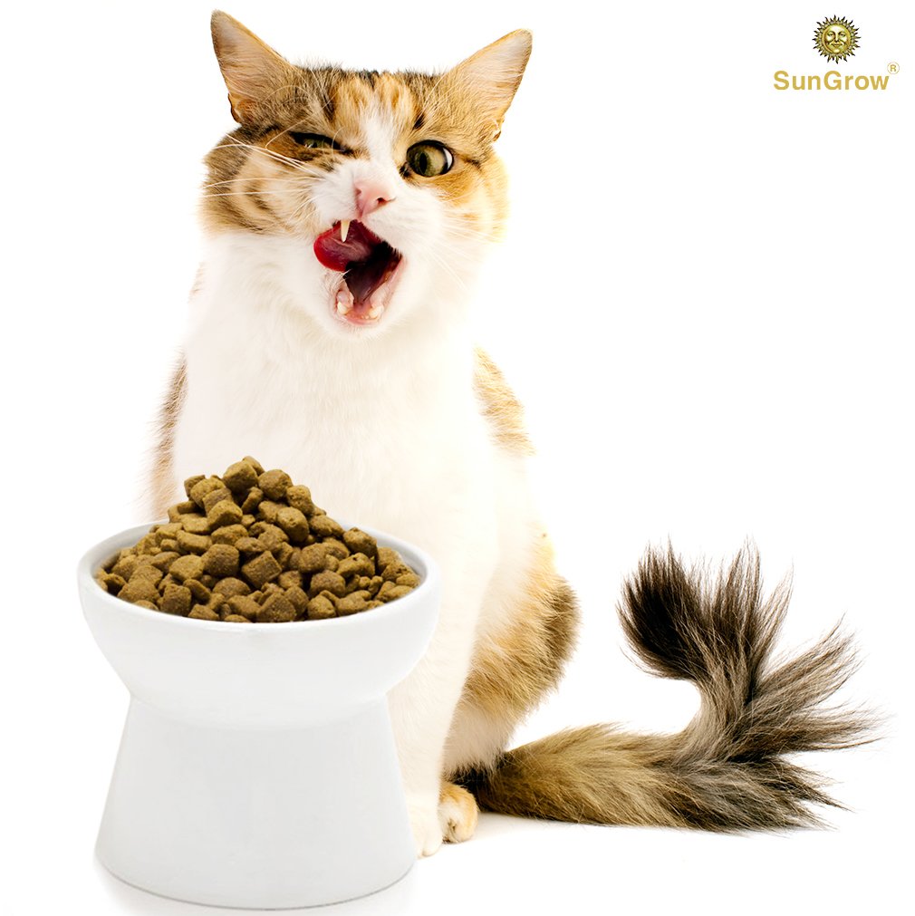 Cat bowl with stand --- Suitable eating height for pets – Easy cleaning for you – Eco-friendly, raised food bowl – Stress-free meal time for your cats - Stoneware feeding station