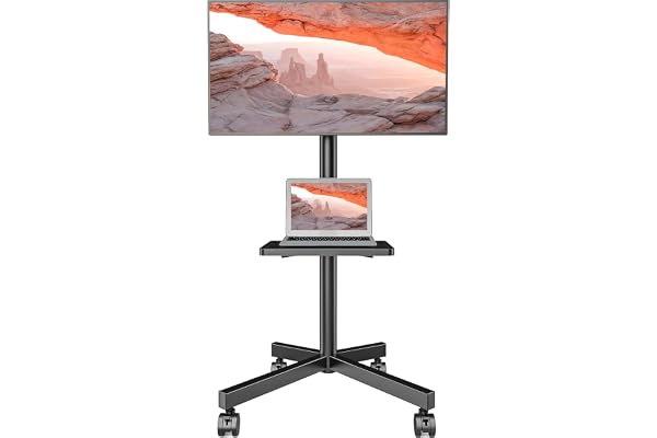 AX WABER Mobile TV Stand for 23-60 Inch LCD LED Flat/Curved Panel Screen TVs, Rolling TV Cart Holds up to 88Lbs Portable Stan