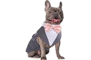 DORA BRIDAL Dog Tuxedo for Medium Dogs, Dog Suit and Bowtie, Formal Dogs Wedding Outfit, Pet Tuxedo and Bandana Set Valentines Birthday Costumes for French Bulldog, Pomeranian, Dachshund, Grey, M