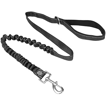 anti shock dog leash