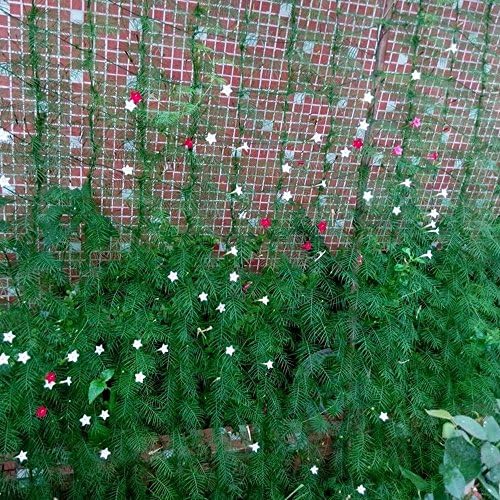 Gkeeny Plants Climbing Nylon Trellis Netting Heavy Duty Fruit Vine and Cucumber Vegetable Growing Frame Fence Mesh Trellis Net Green Garden Netting 5.9ft x 5.9ft