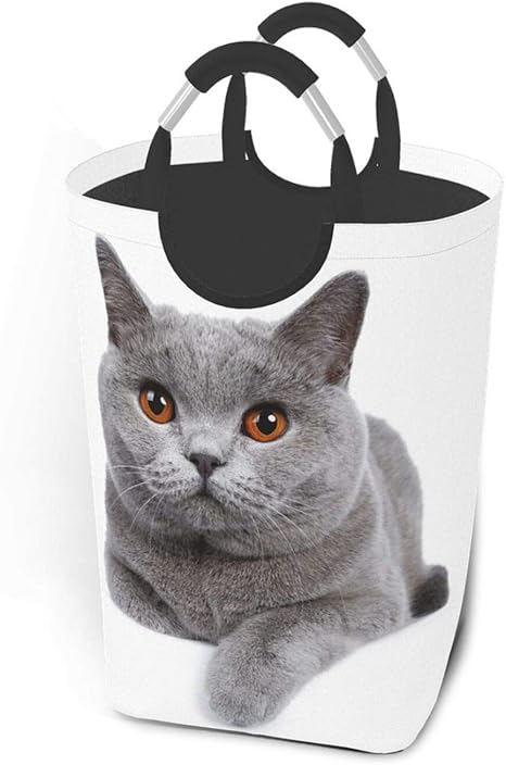 Amazon ランドリーバスケット 収納ボックス 洗濯かご 白い 猫 ペット ブリティッシュショートヘア 見る 視線 洗濯ボックス ランドリーバッグ 洗濯物入れ 折りたたみ 防水取っ手付き おもちゃ収納 収納袋 脱衣かご 雑貨収納 大容量50l かご バスケット オンライン通販