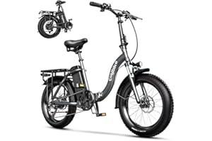 VELECTREC 750W Electric Bike for Adults,25mph Max Speed, 528WH Removable Battery Ebike, 20" Fat Tire Electric Mountain E Bike with 7-Speed,Adult Electric Bicycles for Commute Beach Snow