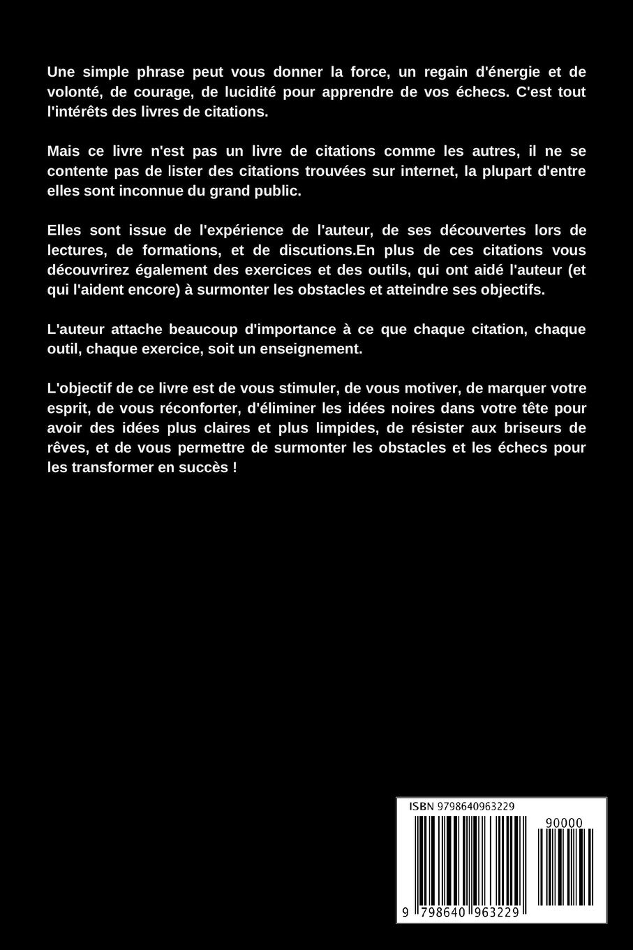 Motivation Et Performance 700 Citations Et 30 Techniques Pour Surmonter Les Epreuves Atteindre Vos Objectifs Et Realiser Vos Projets French Edition Vaisse Fabien Des Livres Pour Gagner Amazon Com Books