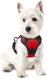 rabbitgoo Small Dog Harness No Pull Reflective Front Back Leash Clips Red XS