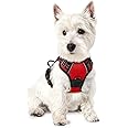 rabbitgoo Dog Harness No Pull with 2 Leash Clips, Adjustable Soft Padded, Reflective Oxford No Choke Pet Vest with Easy Control Handle for Puppy, Red,XS