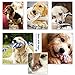TOYSBOOM Squeaky Dog Toys 5 Piece Dog Rope Toys Puppy Flossy Chew Rope Tug Toy for Small, Medium Dogs, Value Pack Dog Toy