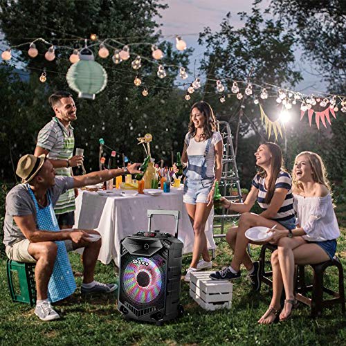 Shinco Bluetooth Karaoke Speaker, 12inch Subwoofer PA System, Portable