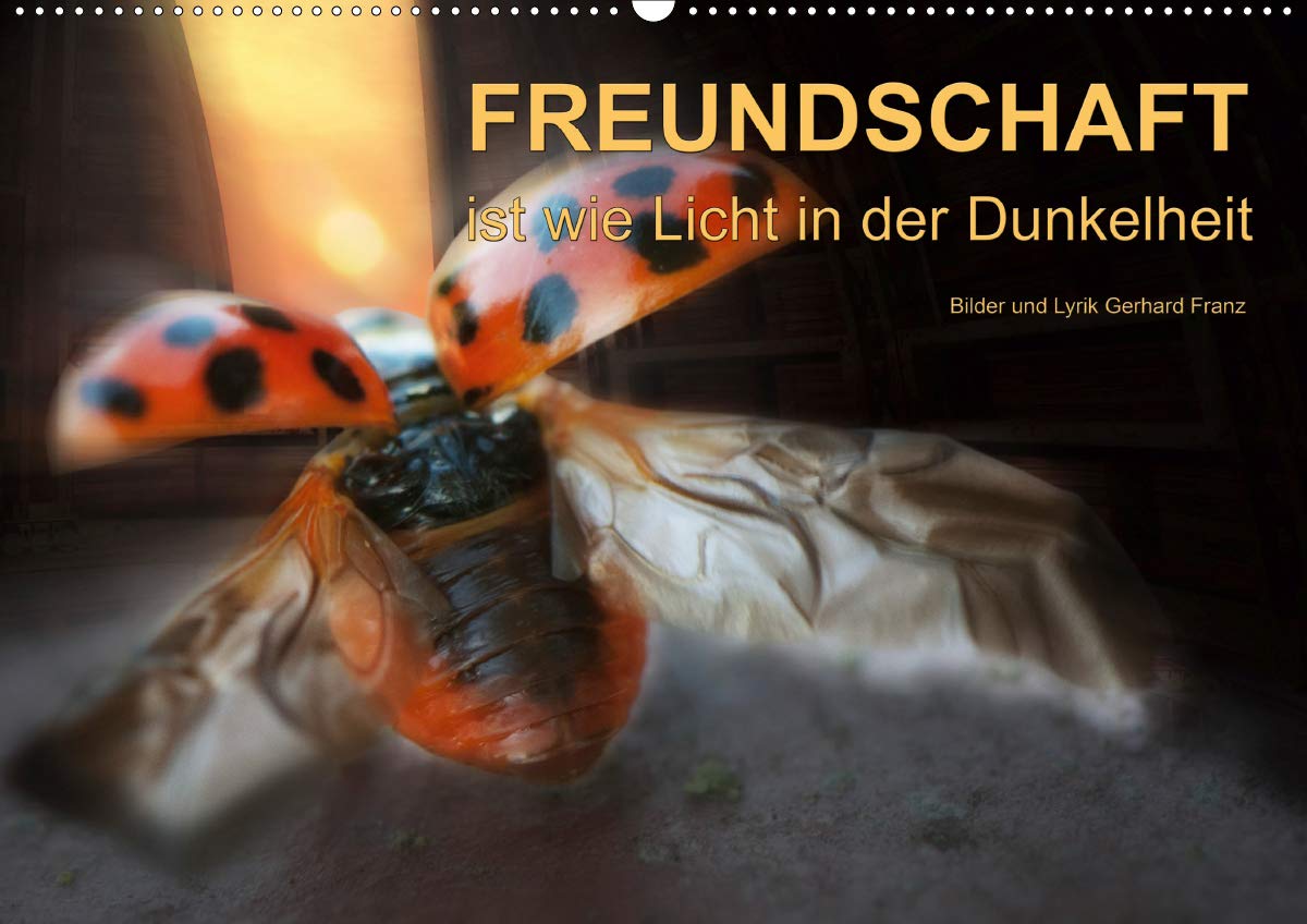 Freundschaft Wandkalender Din Quer Bilder Und Texte Zum Thema Freundschaft Monatskalender 14 Seiten Franz Gerhard Amazon Com Books