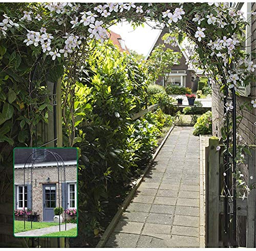 Awningcranks Rosenbogen Metall Garden Arches Stylish Modern Leicht frei montieren Rose Vines Metal für Verschiedene… – Bild 4