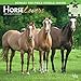 Horse Lovers 2019 12 x 12 Inch Monthly Square Wall Calendar & Puzzle Set with Foil Stamped Cover, An by 