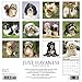 Havanese 2019 Wall Calendar