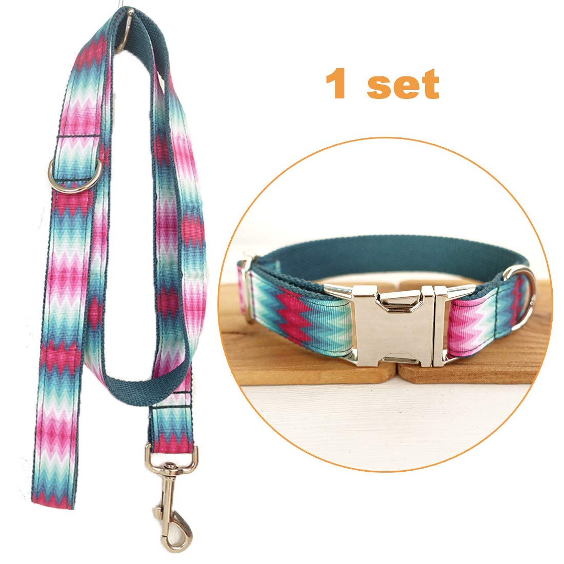 Lupine Hundehalsband Verstellbar – Robustes Nylon-Halsband Für Kleine & Mittelgroße Hunde