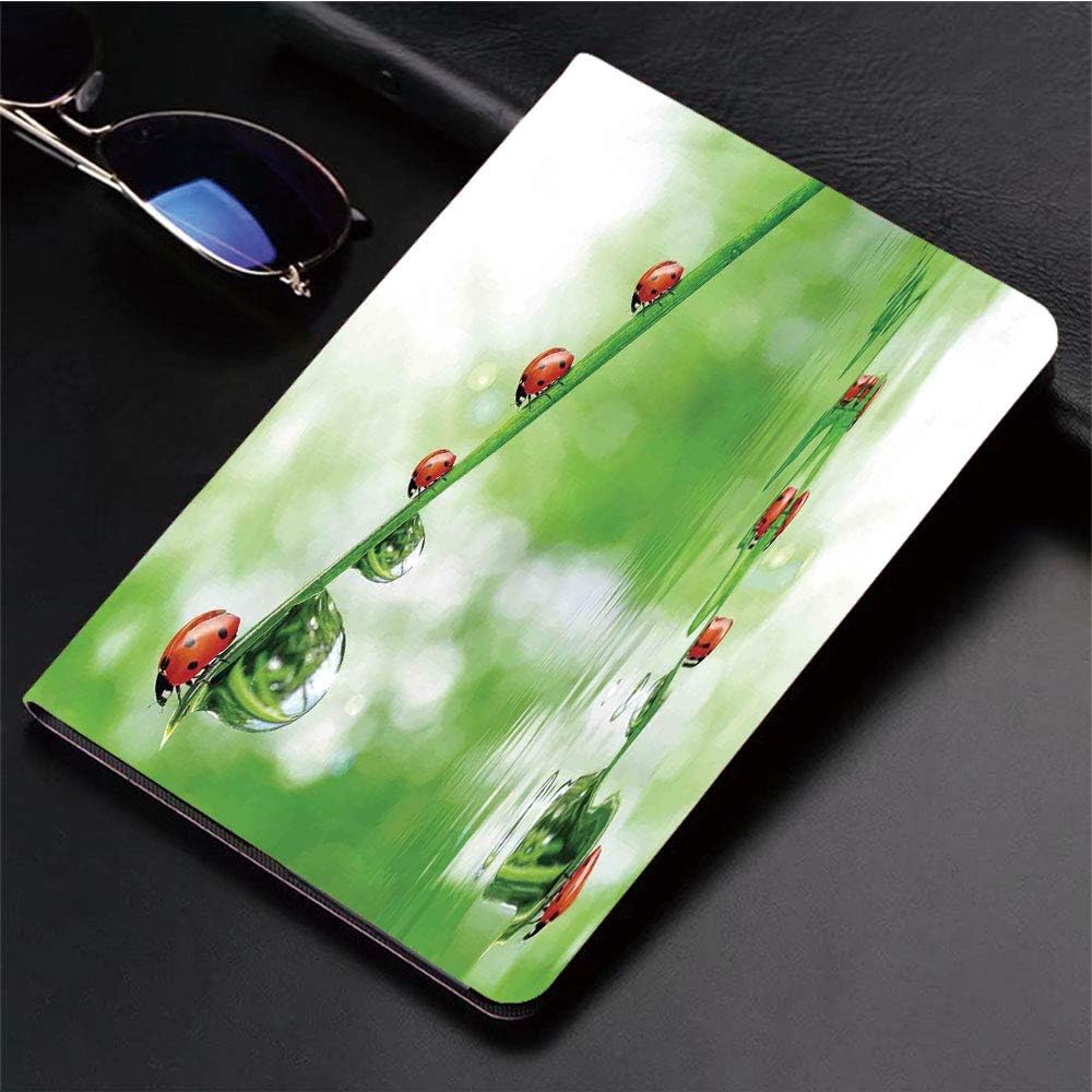 3D Printed iPad Pro 10.5 Case,The Water