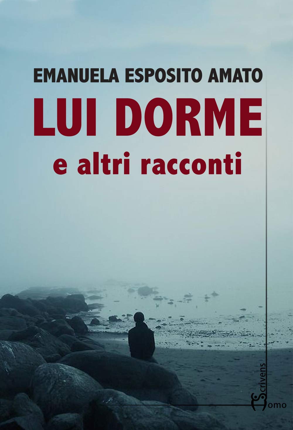 Lui dorme e altri racconti - Emanuela Esposito Amato