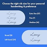 LAMY Safari Steel Black Fountain Pen with Ergonomic Grip M Nib & T 10 Blue view 4