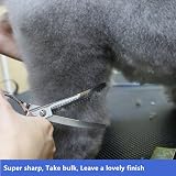 HASHIMOTO Curved Thinning Scissors 23 Teeth 7.0 Inch Lightweight Dog Grooming view 4