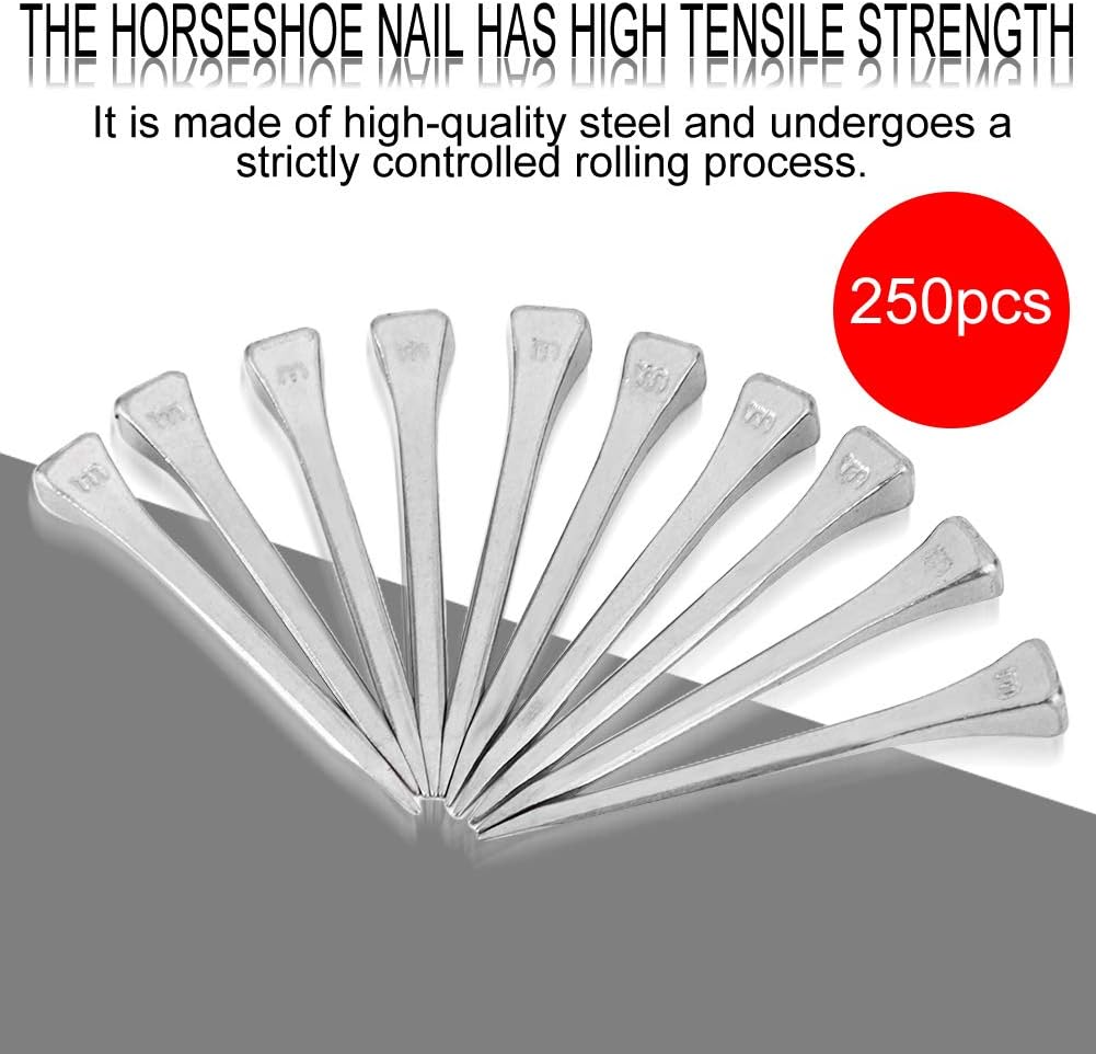 250Pcs E5 Horseshoe nails Stianless Steel Horseshoe Nail Horse Supply Tool Accessories Fine Workmanship - Image 3