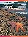 The Secrets of Tidepools: The Bright World of the Rocky Shoreline (Jean-Michel Cousteau Presents)