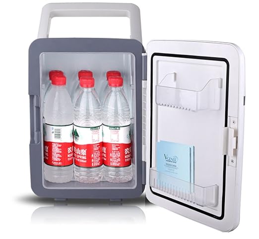 Compra SL&BX Mini refrigerador pequeño, 10l Coche Caja fría Doble ...