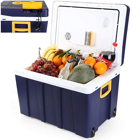 Nevera Electrica Nevera Portatil 12V 220V-240V Nevera Portatil ...