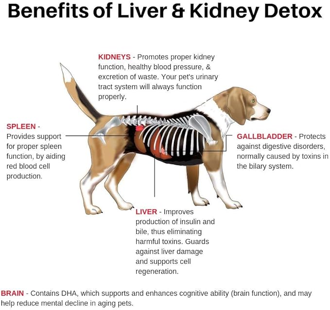 milk thistle cat kidney disease