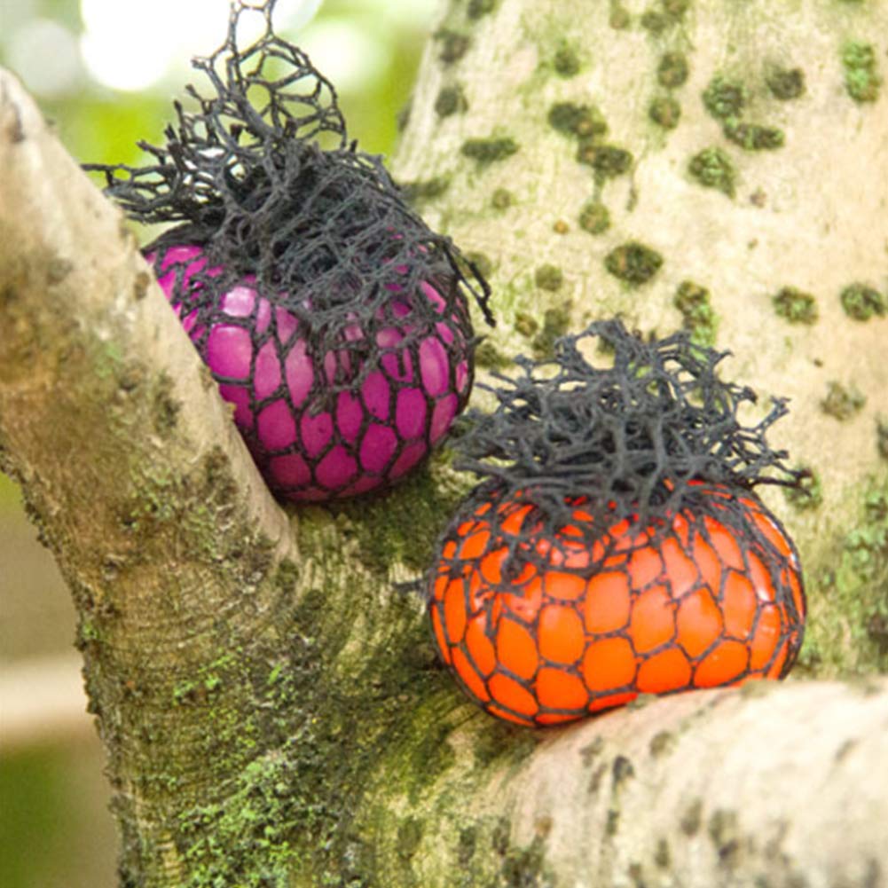 POPLAY Mesh Squishy Ball/Vent Toys/Slime Stress Ball/Anti Stress Toys,Grape Ball,4 PCS