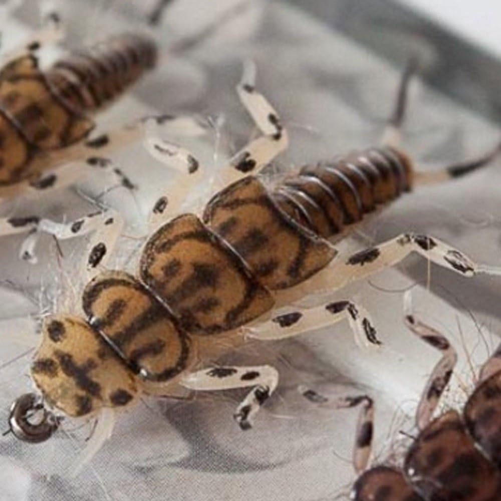 Riverruns Realistic Flies Stone Nymph Flies Trout Trout Supreme Super Sturdy Proudly from Europe