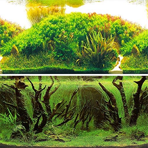 水槽 魚タンク バックスクリーン 両面印刷 背景 水族館ポスター 水槽の飾り E 60x40cm