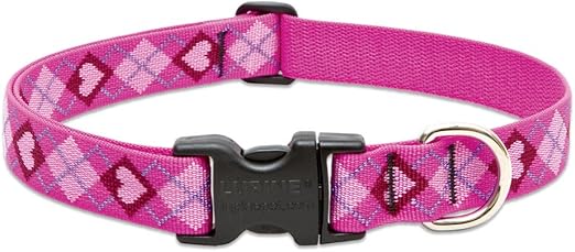 lupine dog collars amazon