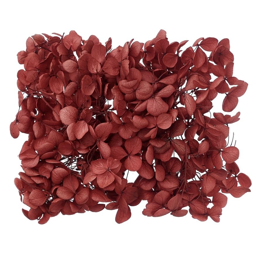 The Baked Studio - Original Dried Flower Hydrangea Set For Cake & Cupcake Decorating & Others Crafts (Deep Red)