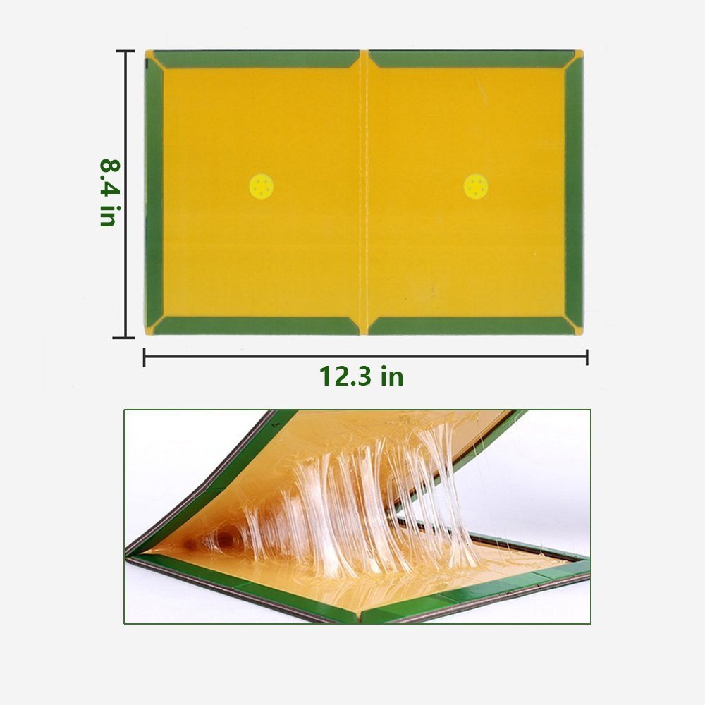 Mouse Glue Trap Sticky Boards Peanut Butter Scented Mice Rat Traps with Professional Strength Glue Kid Pet Safe Easy to Use Best Eco-Friendly Traps Rodents Cockroaches Bugs Ants Spiders (6 Pack)