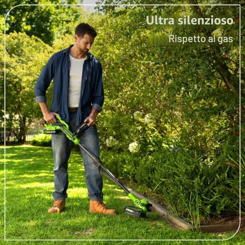 24V Tagliaseta Brushless Gen2 2-in-1 per giardini piccoli e medi, larghezza di taglio di 30 cm, include 10 lame di plastica senza batteria e caricabatterie, Verde ST3002