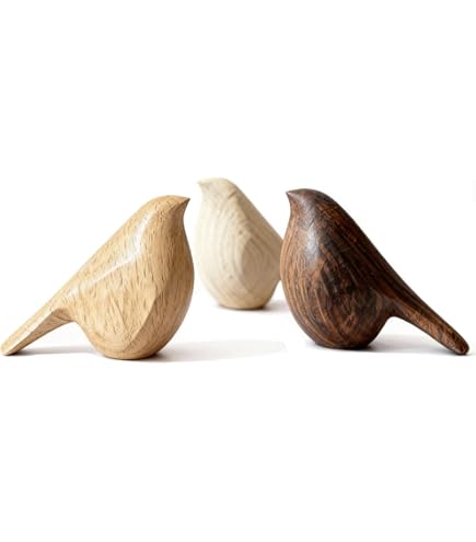 バード作品集 BIRDS BY TOIKKA - TOIKAN LINNUT OIVA TOIKKA Book BIRDS BY TOIKKA , TOIKAN LINNUT IITTALA WSOY