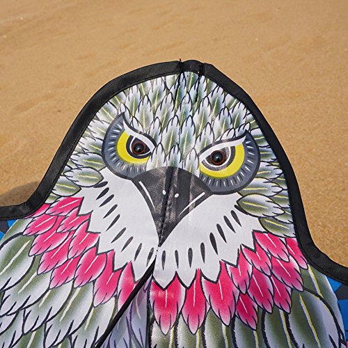 Besra 72inch 3D Eagle Bird Kite with Flying Tools Outdoor Fun Sports for Beach & Park (Eagle)