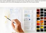 SIYUPU Watercolor Paint Palette - 10 Wells Wet Mixing Tray - Rectangular view 6