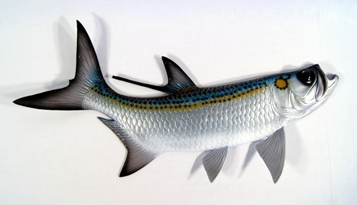 LX Hand Painted Replica Tarpon Fish Ocean Coastal Fly Game Fishing Wall Mount Decor 28"