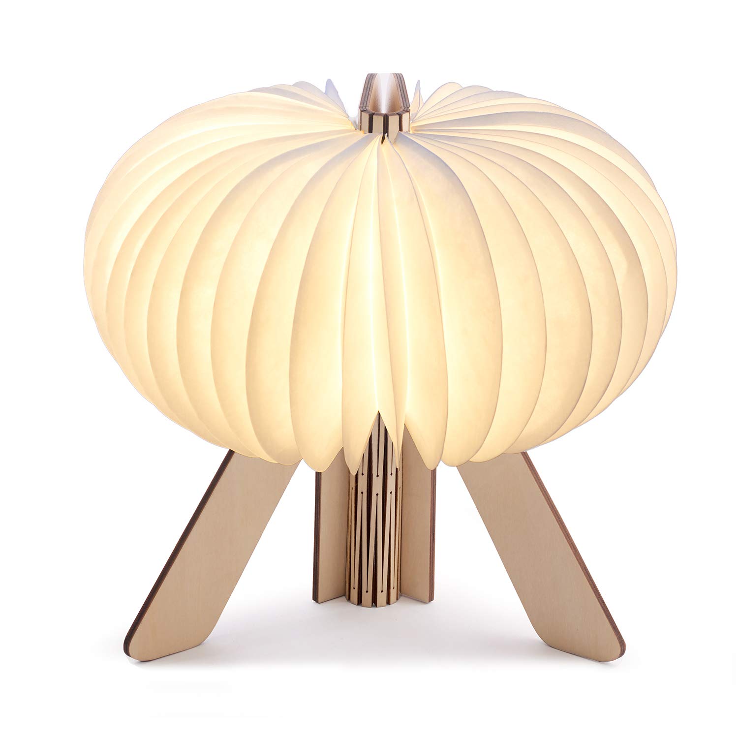 Gingko R Space Lamp - Natural Maple