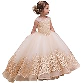 ABAO SISTER Elegant Flower Girl Dress for Wedding Kids Sleevelesss Lace Pageant Ball Gowns