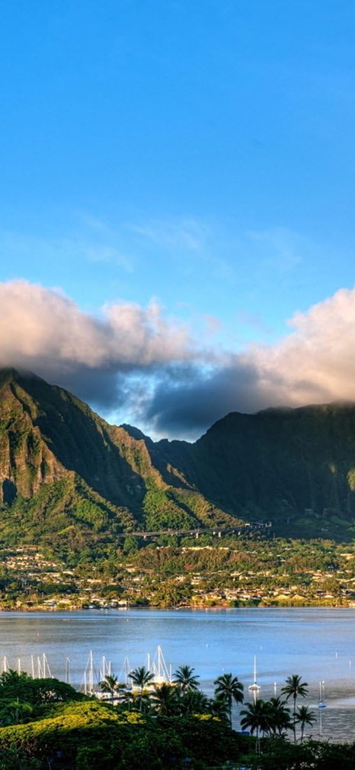 PeelitStickit, Beautiful Nature Wall Murals, ID-2826, vinyl, Multi-colour