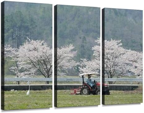 Amazon Co Jp トラクター 畑仕事 田んぼ 農業 農家 人物 花 屋外 風景 景色 外 働く 桜 春 山 乗り物 日本 乗物 国内 田園 田舎 畑 のどか 農作業ポスター パネル 現代壁の絵 壁掛け 部屋飾り 背景絵画 壁アート