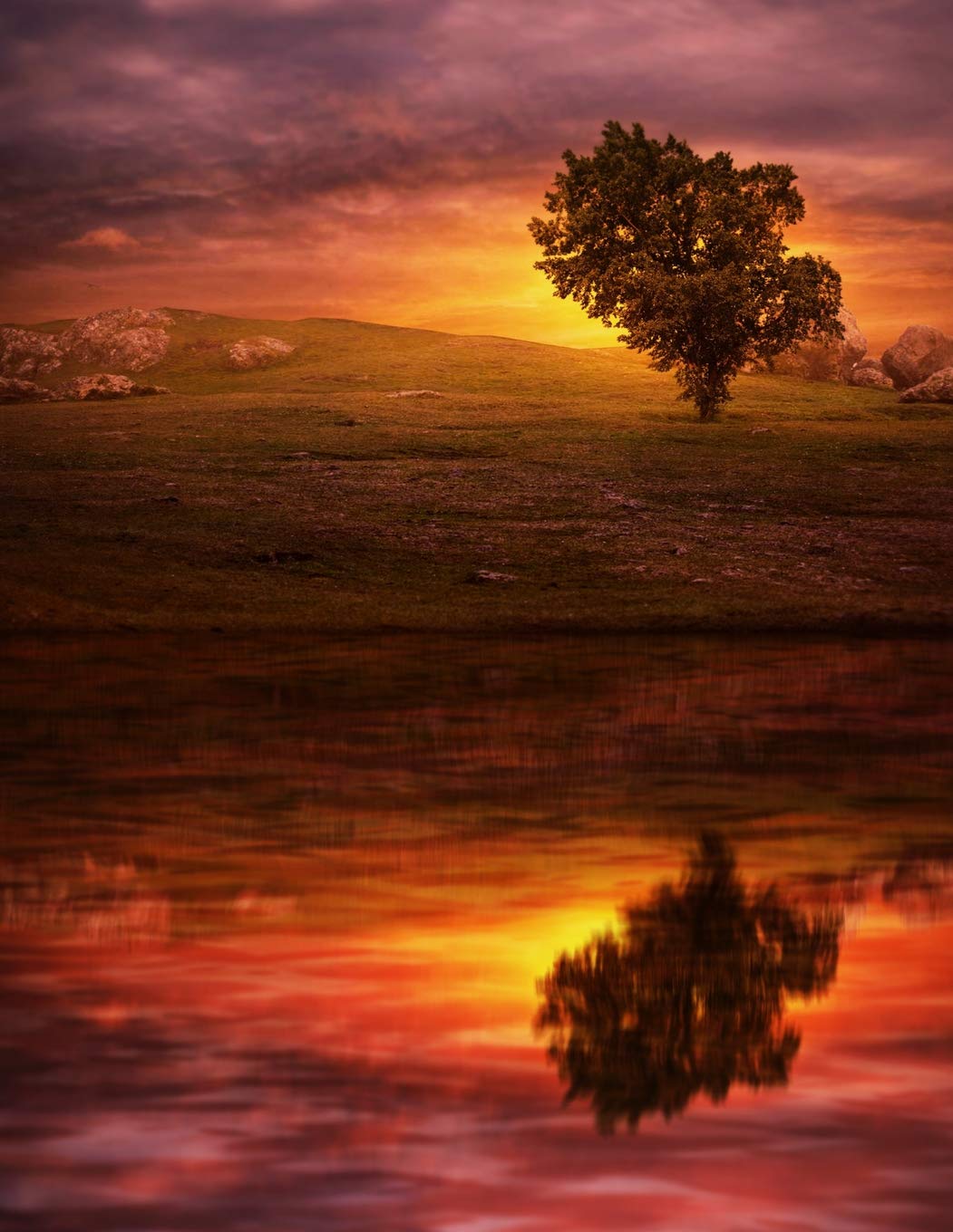 Notebook Sunset Tree Lake Reflection Sunrise Sky Wave Beautiful Scene Scenery Rocks Rock Landscape Wild Pages Press Amazon Com Books