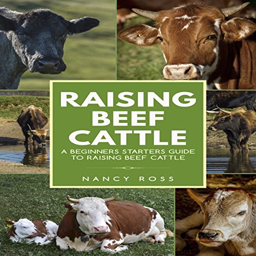 Raising Beef Cattle: A Beginner's Starters Guide to Raising Beef Cattle Raising Beef Cattle: A Beginner's Starters Guide to Raising Beef Cattle