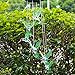 SINLOOG Color-Changing LED Solar Mobile Wind Chime, Solar Powered LED Hanging Lamp Wind Chime Light Wind Chimes for Outdoor Indoor Gardening Lighting Decoration Home (Hummingbird)